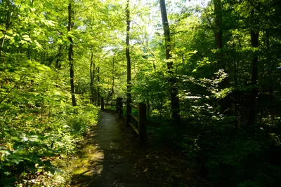 DSC_2803 (Large).JPG